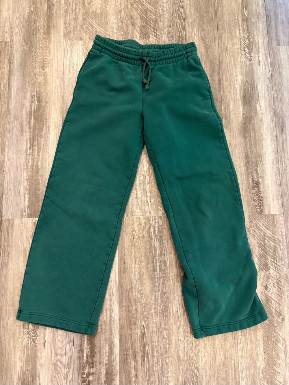 TNA Aritzia sweatpants